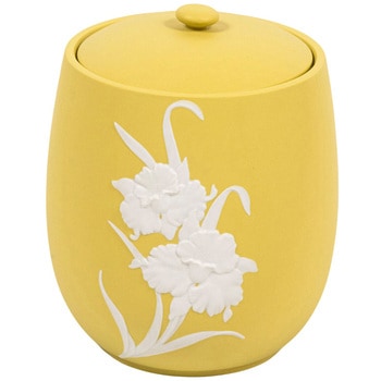 カメオカトレア イエロー2.3寸 - フィットポスト