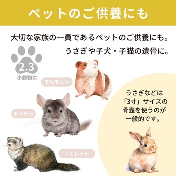 カメオカトレア イエロー3寸 フィットポスト