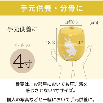 カメオカトレア イエロー4寸 フィットポスト