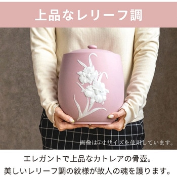 カメオカトレア イエロー4寸 フィットポスト