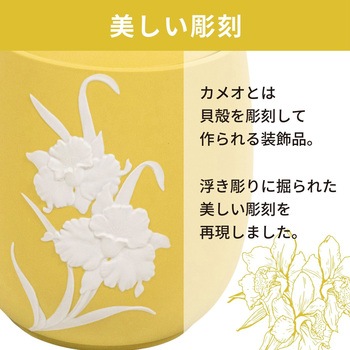 カメオカトレア イエロー5寸 フィットポスト
