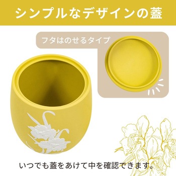 カメオカトレア イエロー5寸 フィットポスト