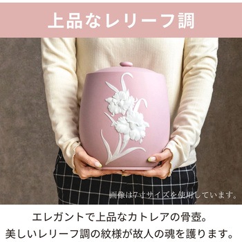 カメオカトレア イエロー5寸 フィットポスト