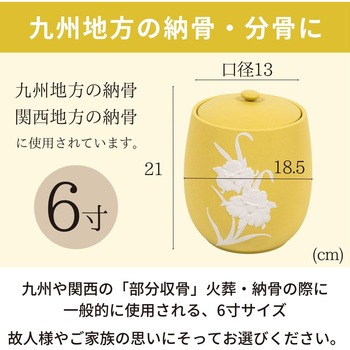 カメオカトレア イエロー6寸 フィットポスト