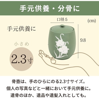 カメオカトレア グリーン2.3寸 フィットポスト
