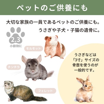 カメオカトレア グリーン2.3寸 フィットポスト
