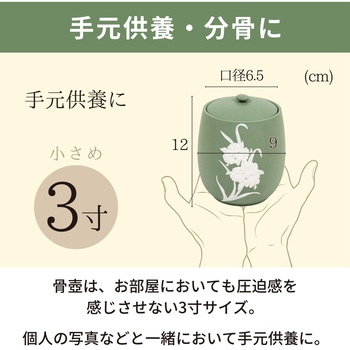 カメオカトレア グリーン3寸 フィットポスト