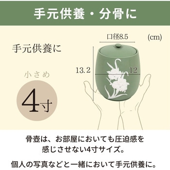 カメオカトレア グリーン4寸 フィットポスト