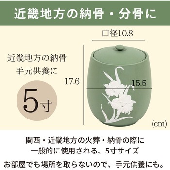 カメオカトレア グリーン5寸 - フィットポスト