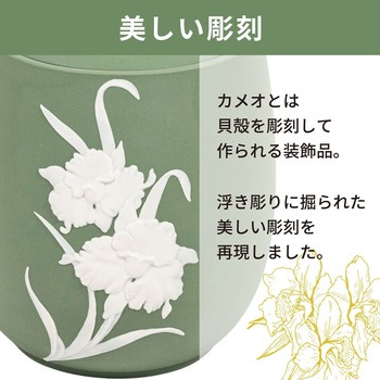 カメオカトレア グリーン5寸 - フィットポスト