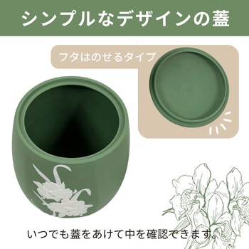 カメオカトレア グリーン5寸 - フィットポスト
