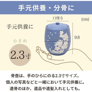カメオ桜 ブルー2.3寸 フィットポスト