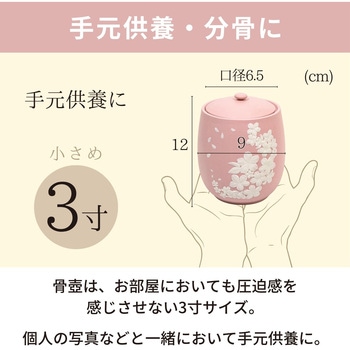 カメオ桜 ピンク3寸 フィットポスト