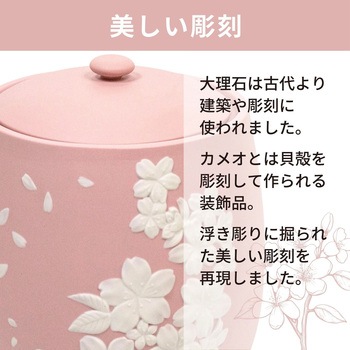 カメオ桜 ピンク4寸 フィットポスト