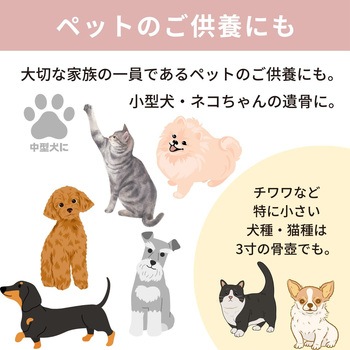 カメオ桜 ピンク4寸 フィットポスト