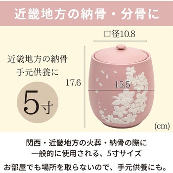 カメオ桜 ピンク5寸 フィットポスト