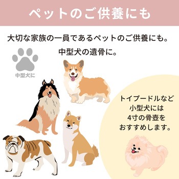 カメオ桜 ピンク5寸 フィットポスト