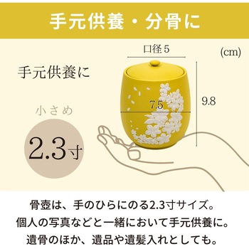 カメオ桜 イエロー2.3寸 フィットポスト