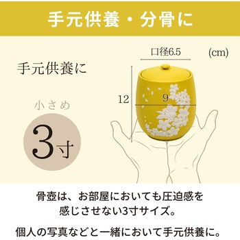 カメオ桜 イエロー3寸 フィットポスト