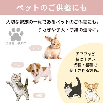 カメオ桜 イエロー3寸 フィットポスト
