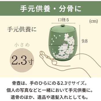 カメオ桜 グリーン2.3寸 フィットポスト