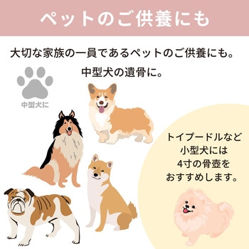 カメオ桜 グリーン5寸 - フィットポスト