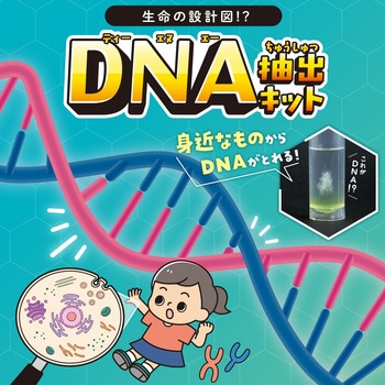 生命の設計図!?DNA抽出キット アーテック[学校教材・教育玩具]