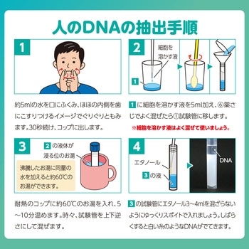 生命の設計図!?DNA抽出キット アーテック[学校教材・教育玩具]