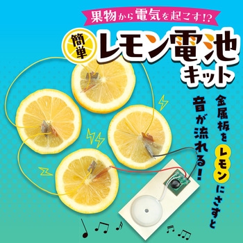 簡単!レモン電池キット アーテック[学校教材・教育玩具]