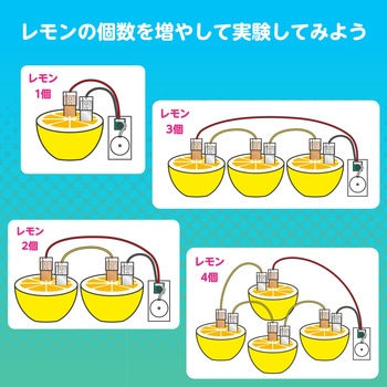 簡単!レモン電池キット アーテック[学校教材・教育玩具]