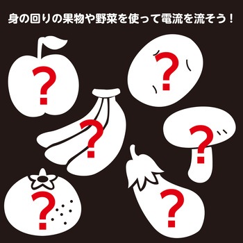 簡単!レモン電池キット アーテック[学校教材・教育玩具]