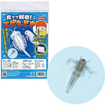 育てて観察!エビもどき - アーテック[学校教材・教育玩具]