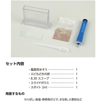 育てて観察!エビもどき - アーテック[学校教材・教育玩具]