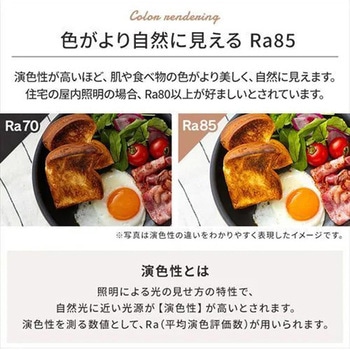 シーリングライト (12畳用) エスコ
