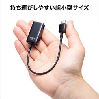 USB変換アダプター (TypeC-HDMI/DP Alt対応) エスコ