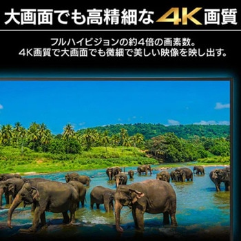 大型液晶ディスプレイ エスコ