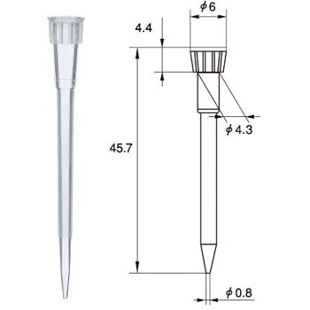 025510-1010 �`�b�v SIBATA(�ēc�Ȋw) 18984087