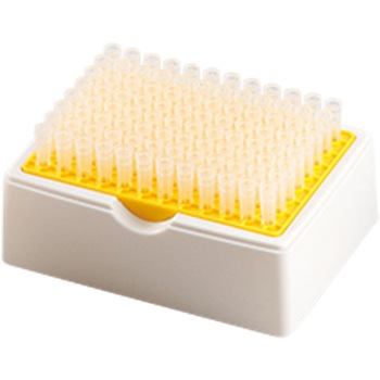 025510-20050 `bv bNt SIBATA(ēcȊw) 18984157