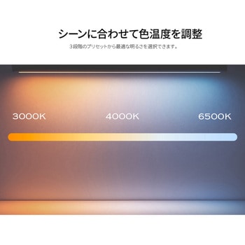 モニターライト/2年保証 JAPANNEXT