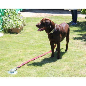大型犬用フレペグ 太悦鉄工