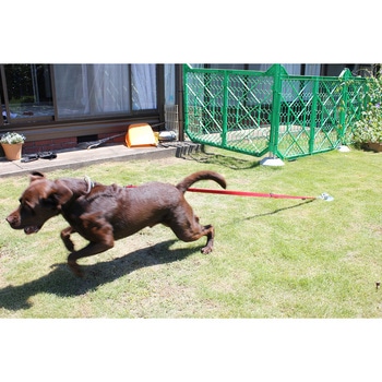 大型犬用フレペグ 太悦鉄工