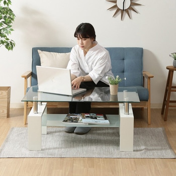 センターテーブル フォーカス 不二貿易