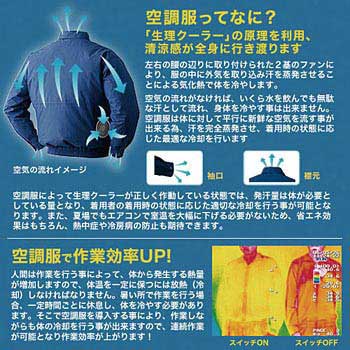 ���C�T�C�l�C�r5L �󒲕�(S)�����݃`�^���Z�b�g �󒲕� 19066906