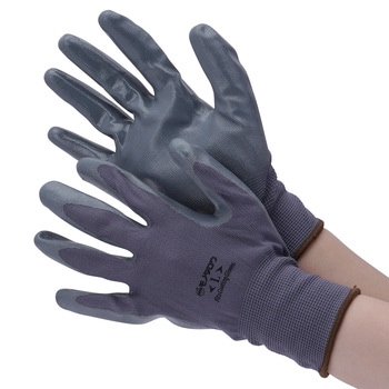 - w  jgSR[g m^E 19079113