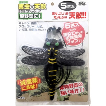 害虫の天敵 オニヤンマ兄弟 5匹入 龍宝丸