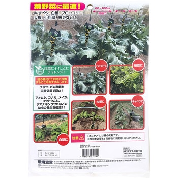 害虫の天敵 オニヤンマ兄弟 5匹入 龍宝丸