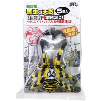 害虫の天敵 除労蜘蛛 5匹入 龍宝丸