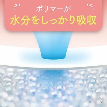 ポイズ さらさら吸水 吸水ナプキン 100cc 無香料 日本製 日本製紙クレシア