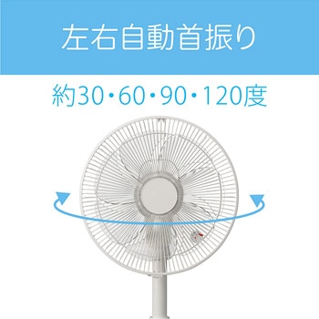 リビング扇風機 コイズミ