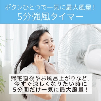 リビング扇風機 コイズミ